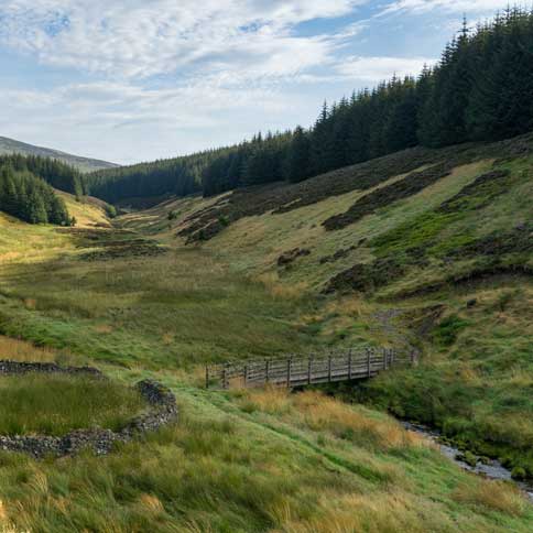 Derwent Valley in the North East